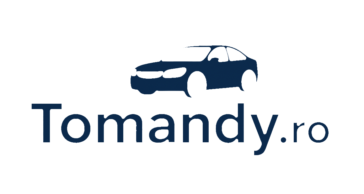Tomandy Logo